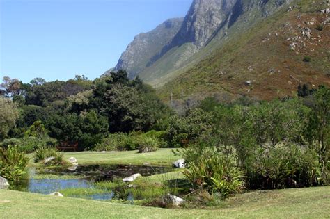 The Harold Porter National Botanical Garden: A Symphony of Floral Diversity and Coastal Splendor!