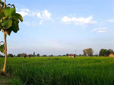 Red River Valley Scenic Area: A Serene Escape into Nature's Embrace!